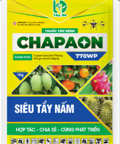 Alternative view of CHAPAON 770WP