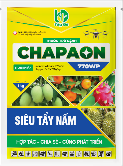 CHAPAON 770WP